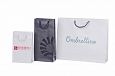 Galleri- Laminated Paper Bags durable laminated paper bags with personal logo print 