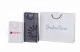 laminated paper bags with logo | Galleri- Laminated Paper Bags durable laminated paper bags with p